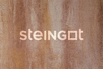 ���������� ������ Steingot �������� ���� "����� ���� Safari �9"